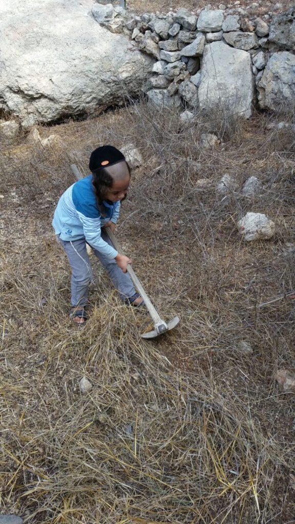 עןבדים בשדה, תלמוד תורה דרך האבות גוש עציון
