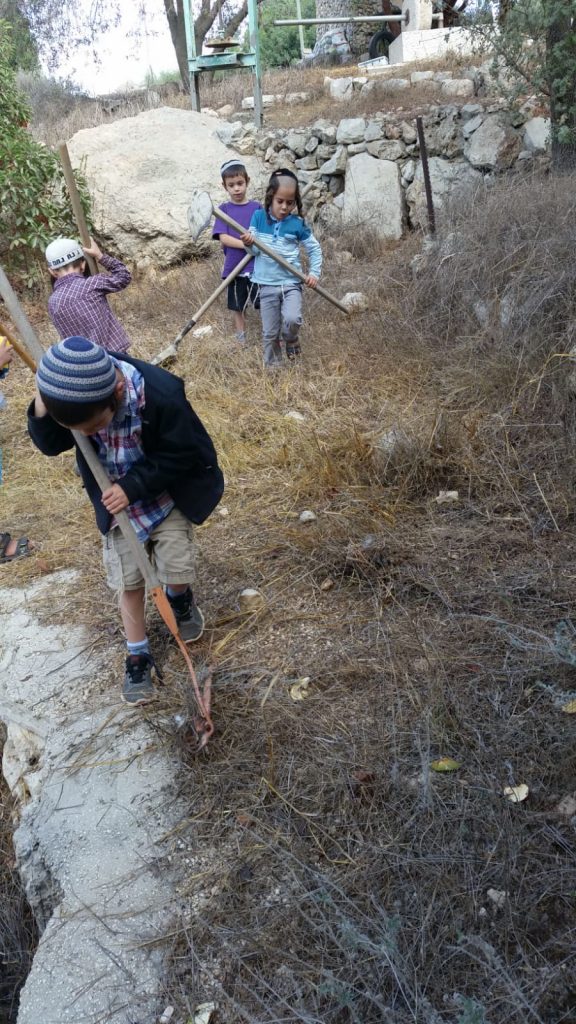 עןבדים בשדה, תלמוד תורה דרך האבות גוש עציון