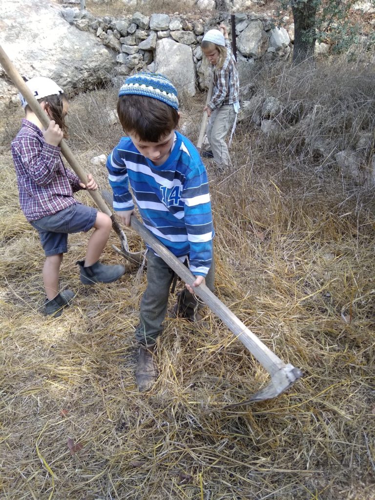 עןבדים בשדה, תלמוד תורה דרך האבות גוש עציון