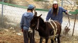 חרישה דרך האבות