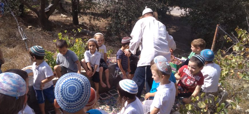 דריכת ענבים